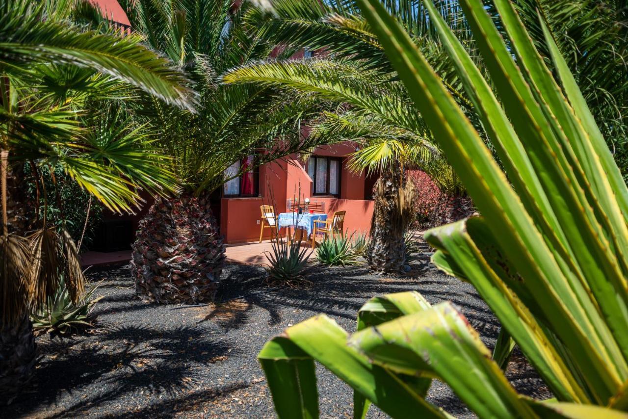 El Jasmine Appartement Corralejo Buitenkant foto