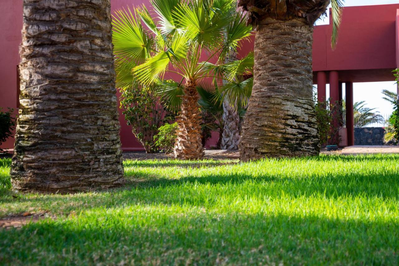 El Jasmine Appartement Corralejo Buitenkant foto